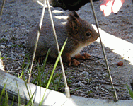 P5100004.jpg